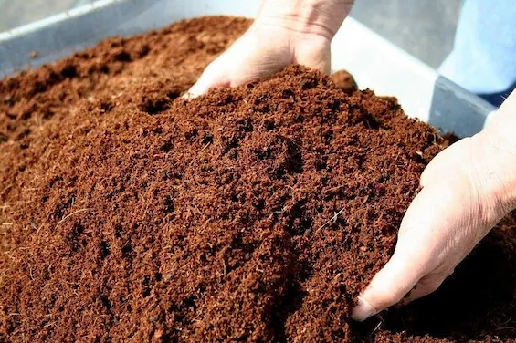 Coco Peat/ Coir Pith